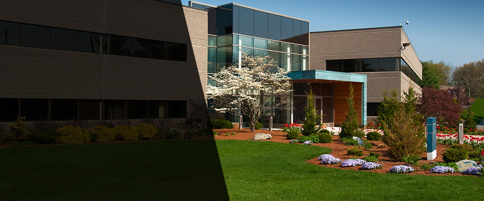 Union Grove Landscapers