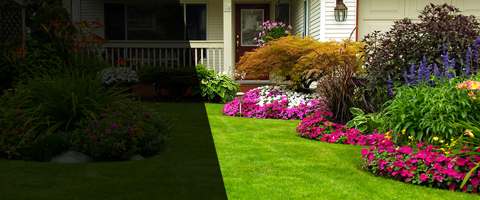 Union Grove Landscapers